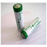 Accurate Ampere Forte ER 14505 Battery